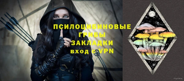 стаф Алексеевка